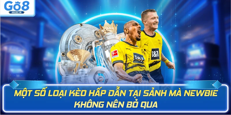 Một số loại kèo hấp dẫn tại sảnh mà newbie không nên bỏ qua